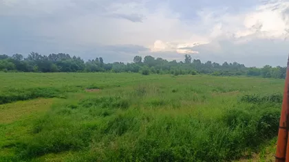 Beloševačka | 4zida.rs