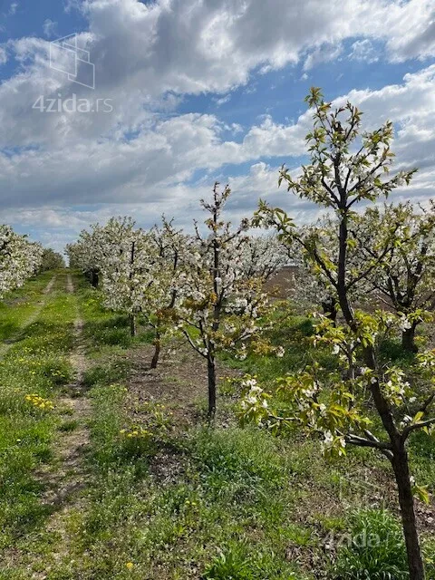 Poljoprivredno zemljište | 4zida