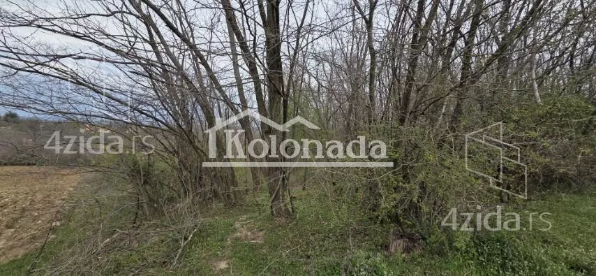 Poljoprivredno zemljište | 4zida