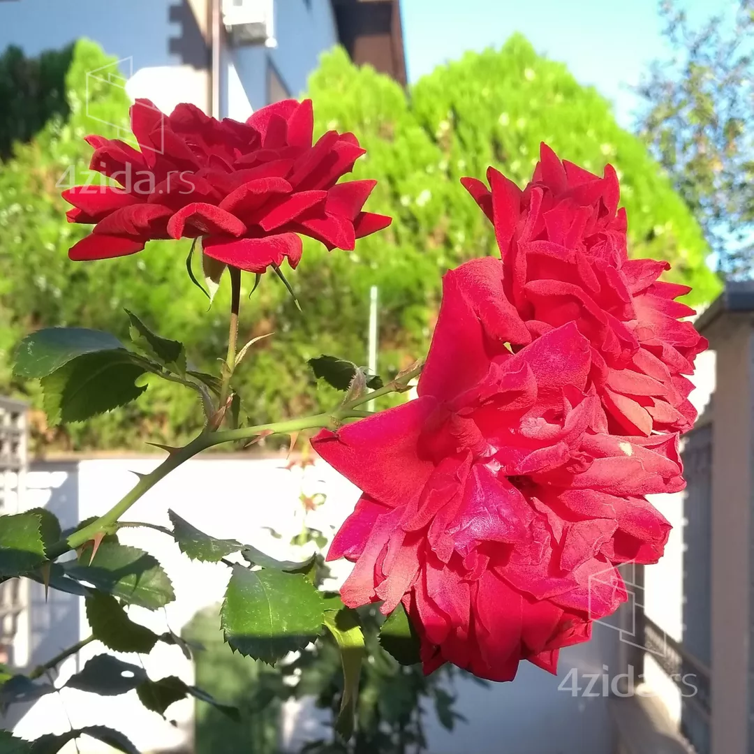 2-etažna kuća | 4zida