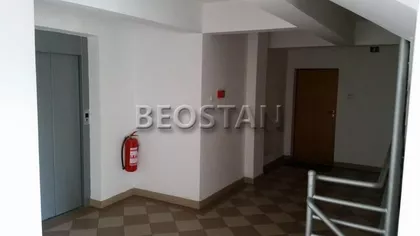 Stojana Protica | 4zida.rs