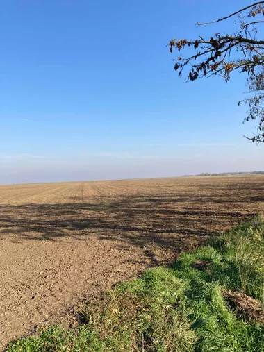Pačir
