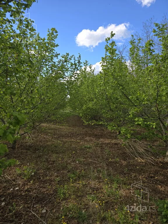 Poljoprivredno zemljište | 4zida