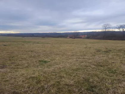 Radomira Stanojevića | 4zida.rs