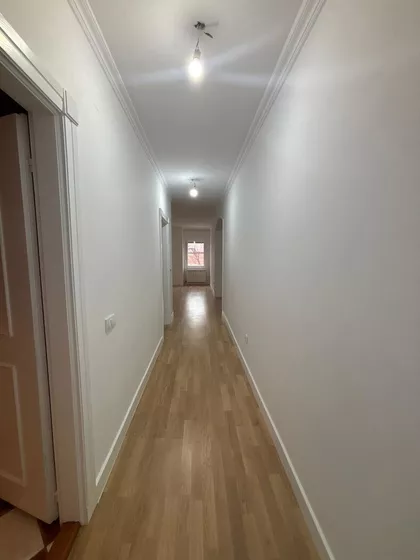 Dalmatinska | 4zida.rs