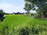 Vojka, Okolne lokacije, Stara Pazova | 4zida.rs