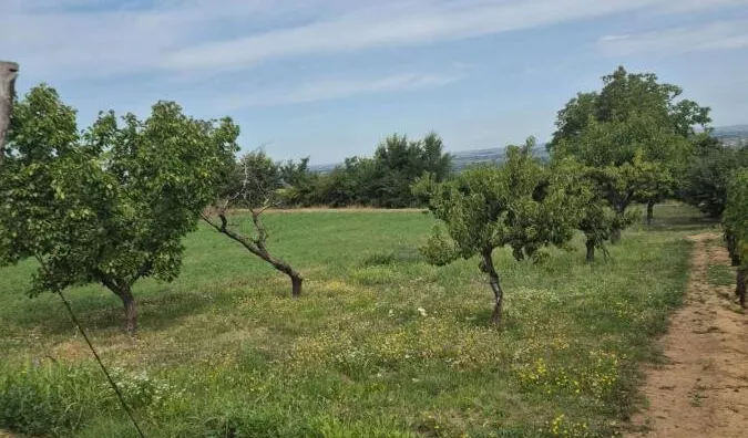 Plac | 4zida