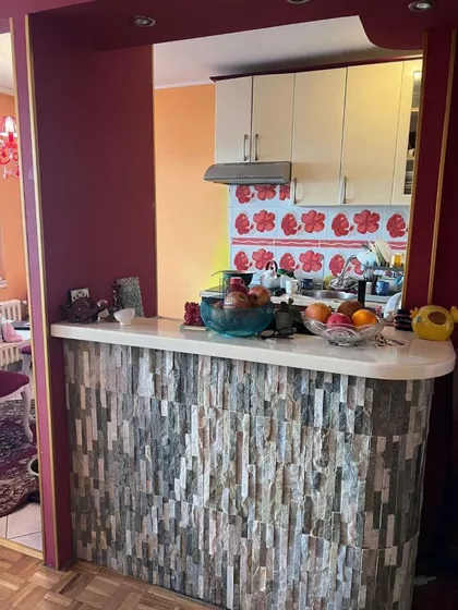 Dr Ivana Ribara | 4zida.rs