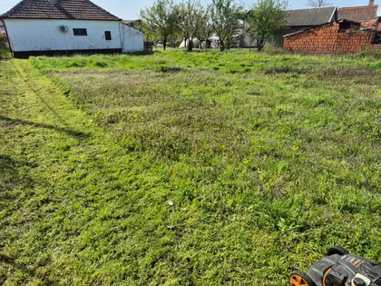 Mužlja | 4zida.rs