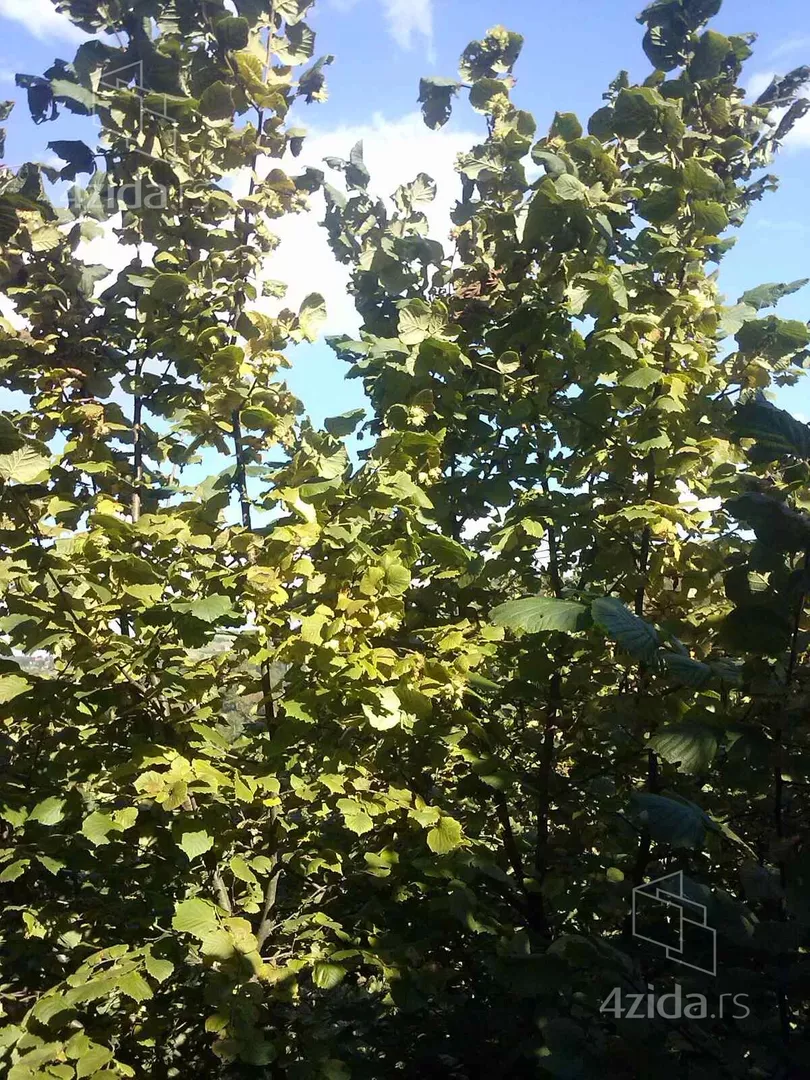 Poljoprivredno zemljište | 4zida