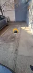 Parking | 4zida