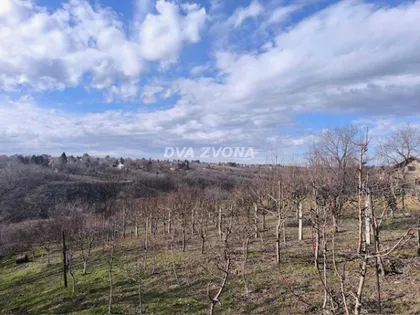 Čortanovci | 4zida.rs