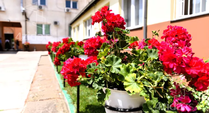 Kancelarija | 4zida