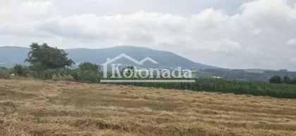 Nemenikuće | 4zida.rs