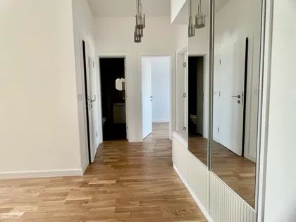 Cara Dušana | 4zida.rs