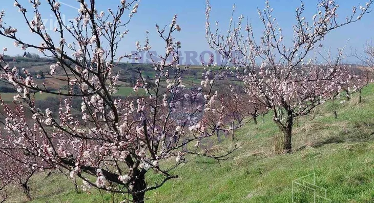 Poljoprivredno zemljište | 4zida