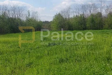 Rogača