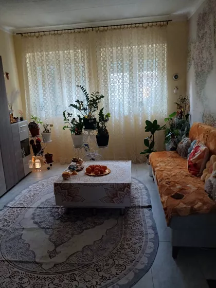 Kozaračka | 4zida.rs