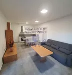 Novi Sad, Gradske lokacije, Salajka | 4zida.rs | 4zida.rs