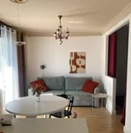 Novi Sad, Gradske lokacije, Detelinara, Nova Detelinara | 4zida.rs | 4zida.rs