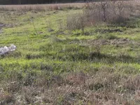 Stari Tamiš, Gradske lokacije, Pančevo | 4zida.rs