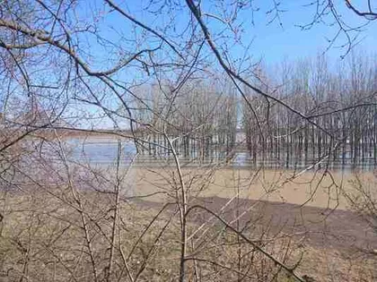 Opština Zrenjanin, Farkaždin | 4zida.rs