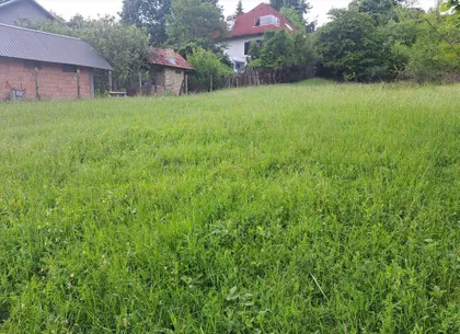 Petra Dobrnjca | 4zida.rs
