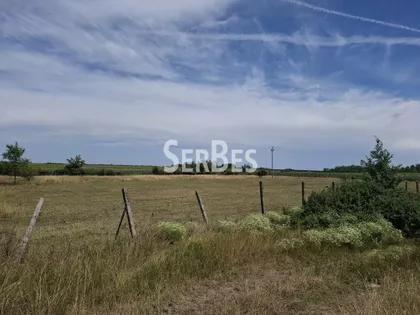 Čenej | 4zida.rs