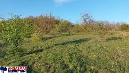 Lasovo | 4zida.rs