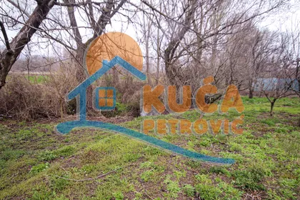 Vele polje | 4zida.rs