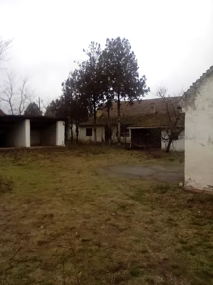 Gornji Tavankut | 4zida.rs