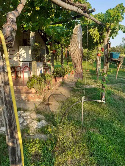 Kajtasovo | 4zida.rs