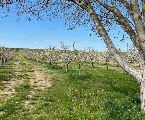 Poljoprivredno zemljište | 4zida