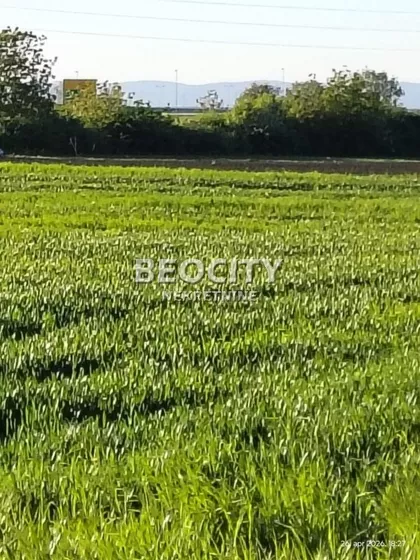 Sremska 16 | 4zida.rs