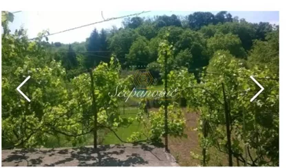 Čortanovci | 4zida.rs