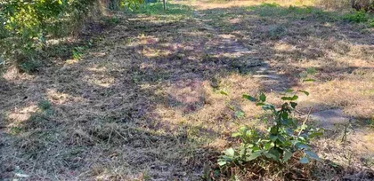 Alibegovac | 4zida.rs