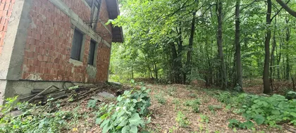 LJUBE TADICA | 4zida.rs