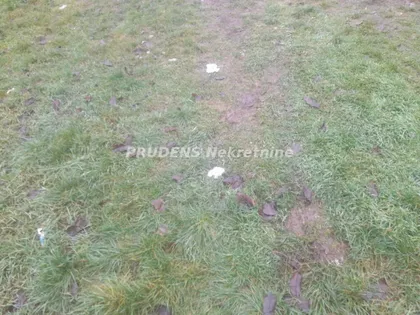 Surčin (mesto) | 4zida.rs