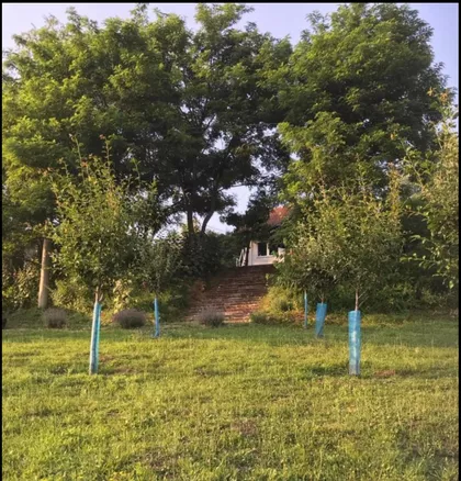 Rudnik | 4zida.rs
