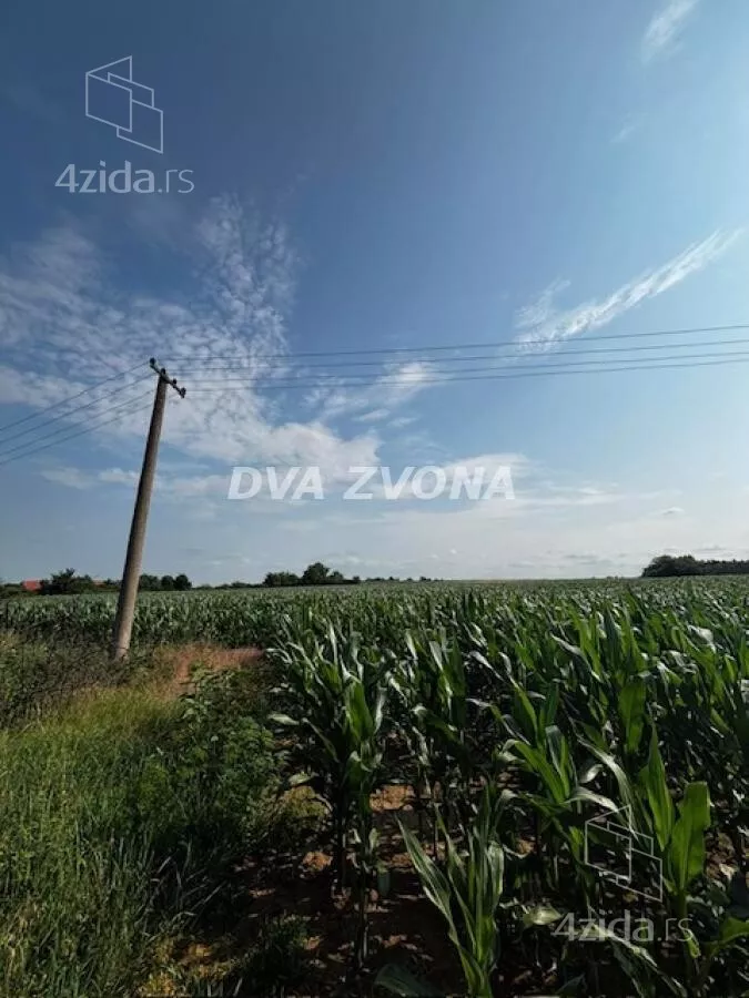 Plac | 4zida