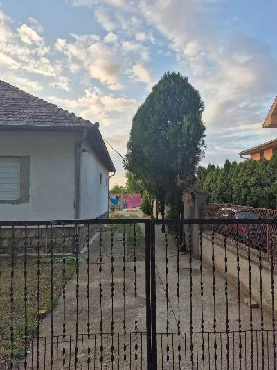 Debeljača | 4zida.rs