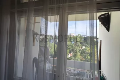 Pere Velimirovića | 4zida.rs