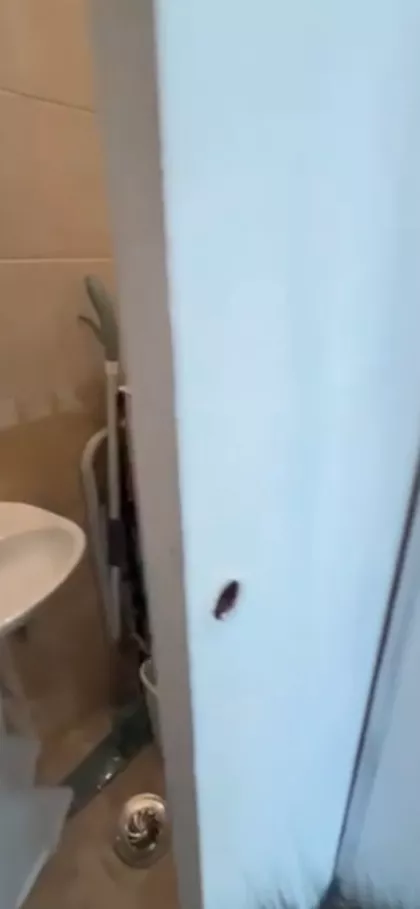 Dimitrija Tucovića | 4zida.rs