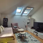 Novo Naselje, Gradske lokacije, Novi Sad | 4zida.rs | 4zida.rs