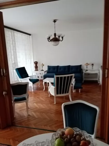 Žarka Vasiljevića | 4zida.rs