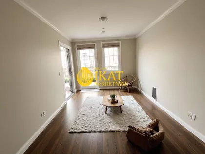 Koste Trifkovića | 4zida.rs