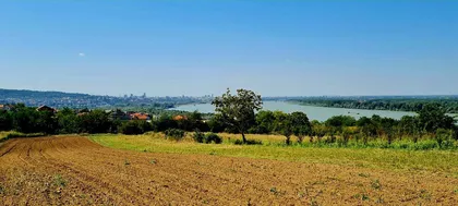 Višnjica | 4zida.rs