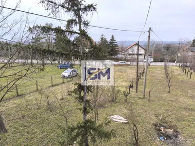 Živka Stevanovića-Žikice