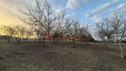Palić | 4zida.rs