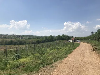 Dragobraća | 4zida.rs